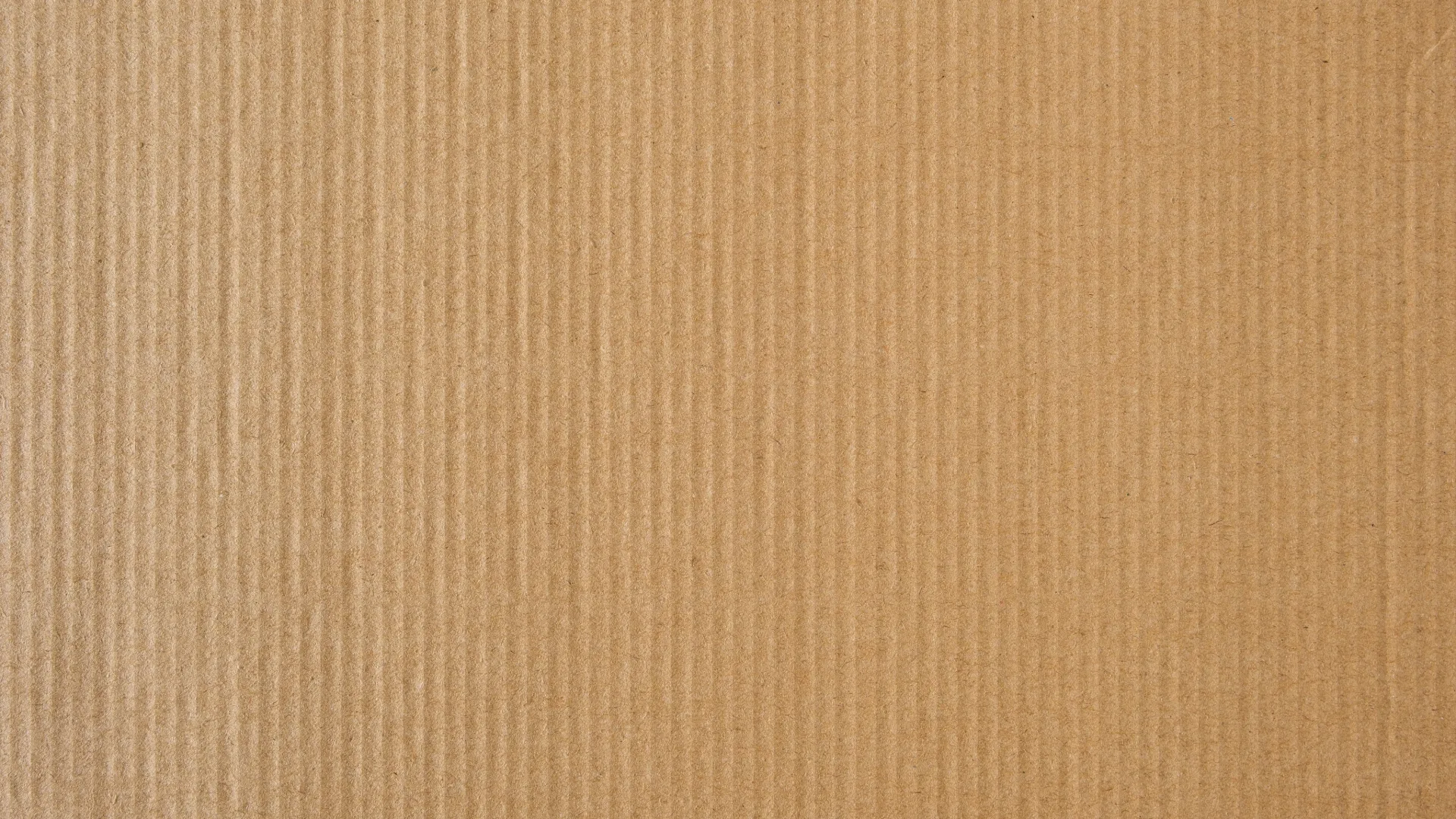 Mbombela Movers team loading a truck